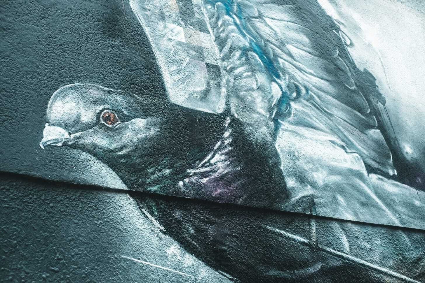 Street art of pigeon in Groningen Street art of pigeon in Groningen