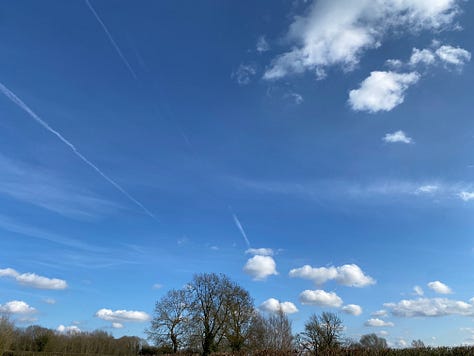 Nine photographs of the sky featuring various cloud types, colours and trees