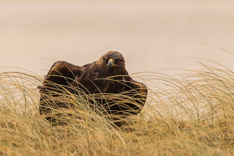 Images from the Isle of Harris
