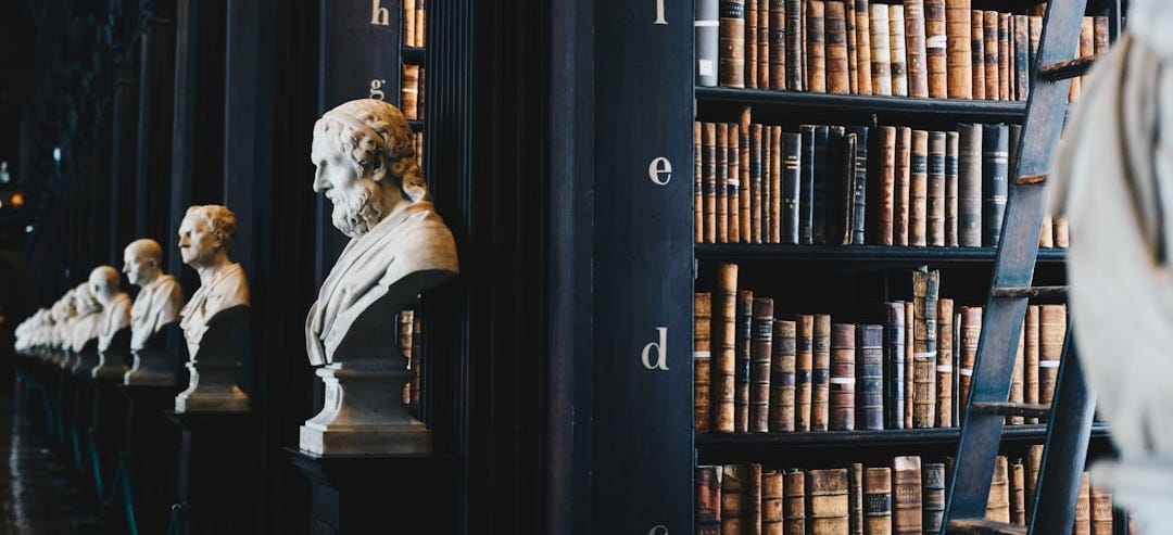 book lot on black wooden shelf