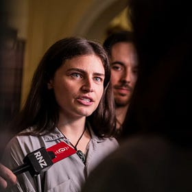 Stop calling the Greens radical