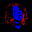 cabeça de vaca's avatar