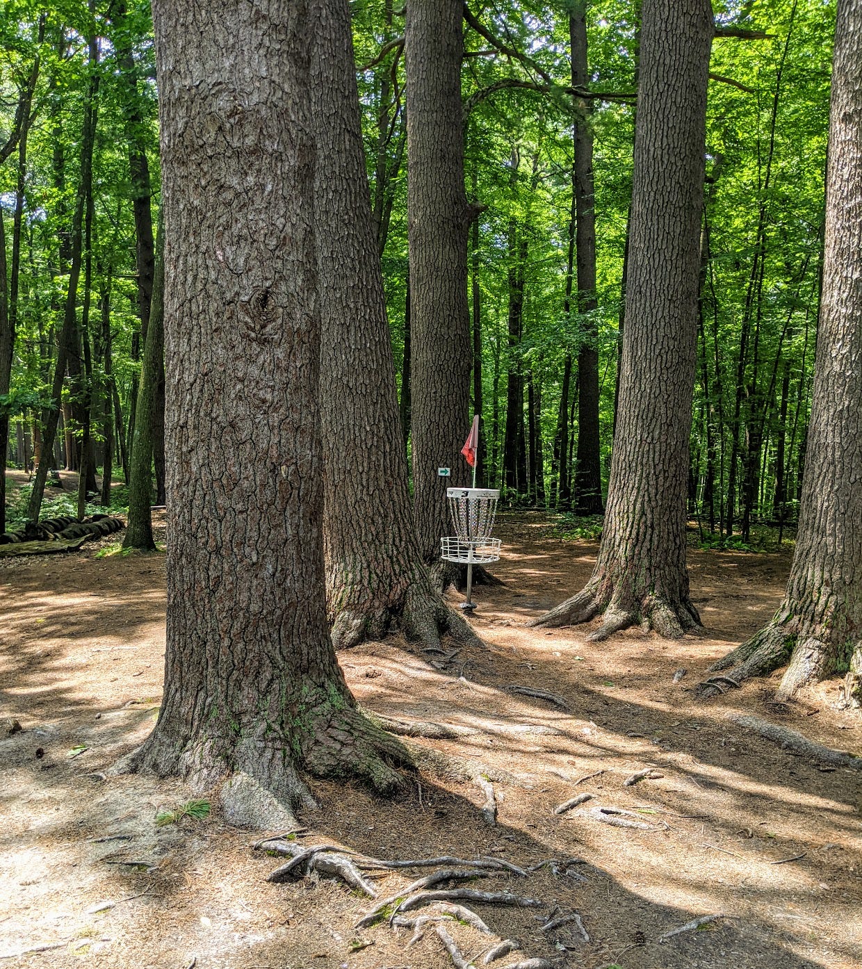 Hole 3 green at Hollow North Disc Golf, Manchester, New Hampshire