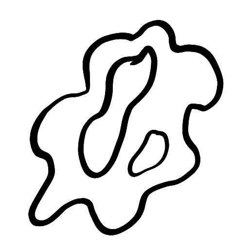 Relationship Ecology