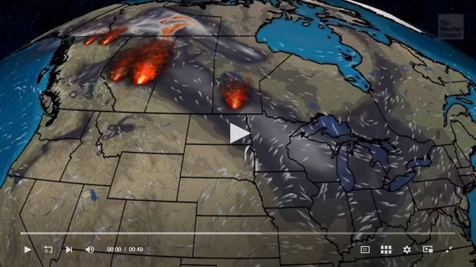 May be an image of map and text