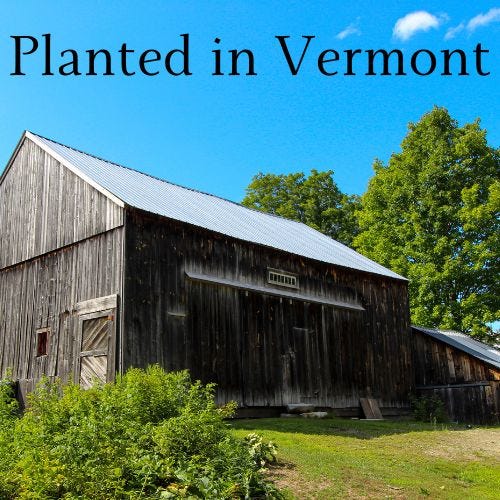 Planted in Vermont