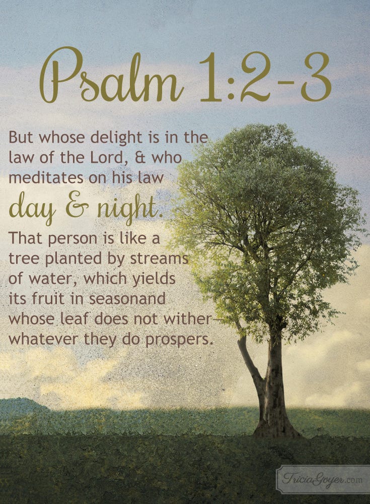 Meditate on God's Word with Psalm 1:2-3 and a Prayer