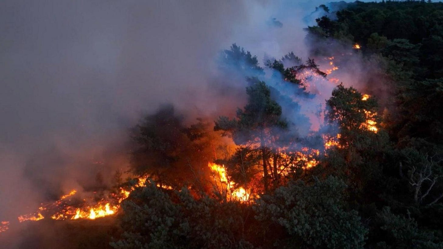 Fire-ravaged Dunwich Heath 'could take 25 years to recover' - BBC News