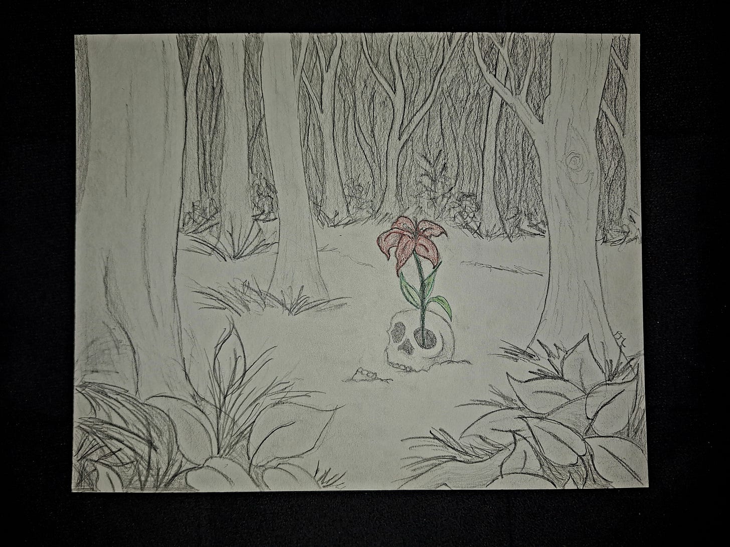 pencil drawing of a flower blooming fro ma skull in the woods.