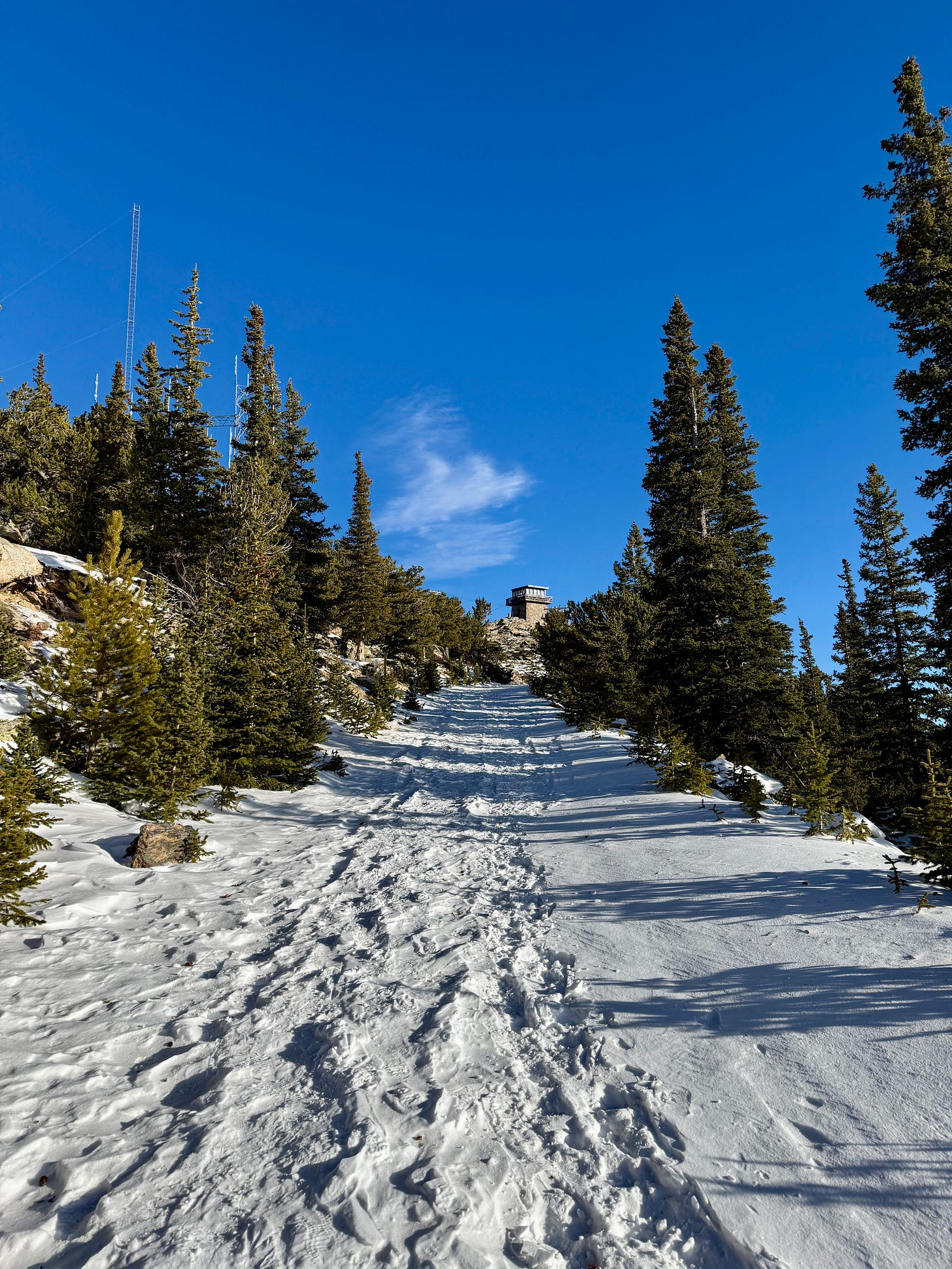 Trail to Mestaa’éhehe Mountain Fire Lookout