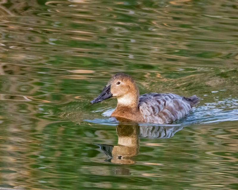 20260316-Sewailo-33-Edit.jpg 20260316-Sewailo-33-Edit.jpg