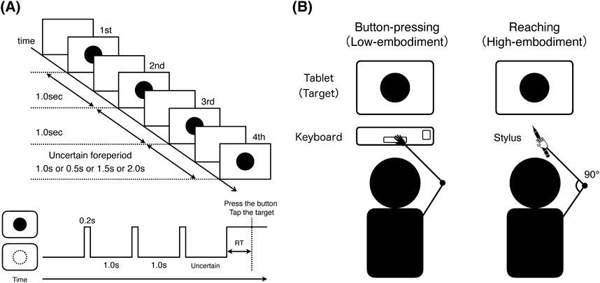 Stabilizing Motion through Body Mechanics and Embodied Intelligence in ...