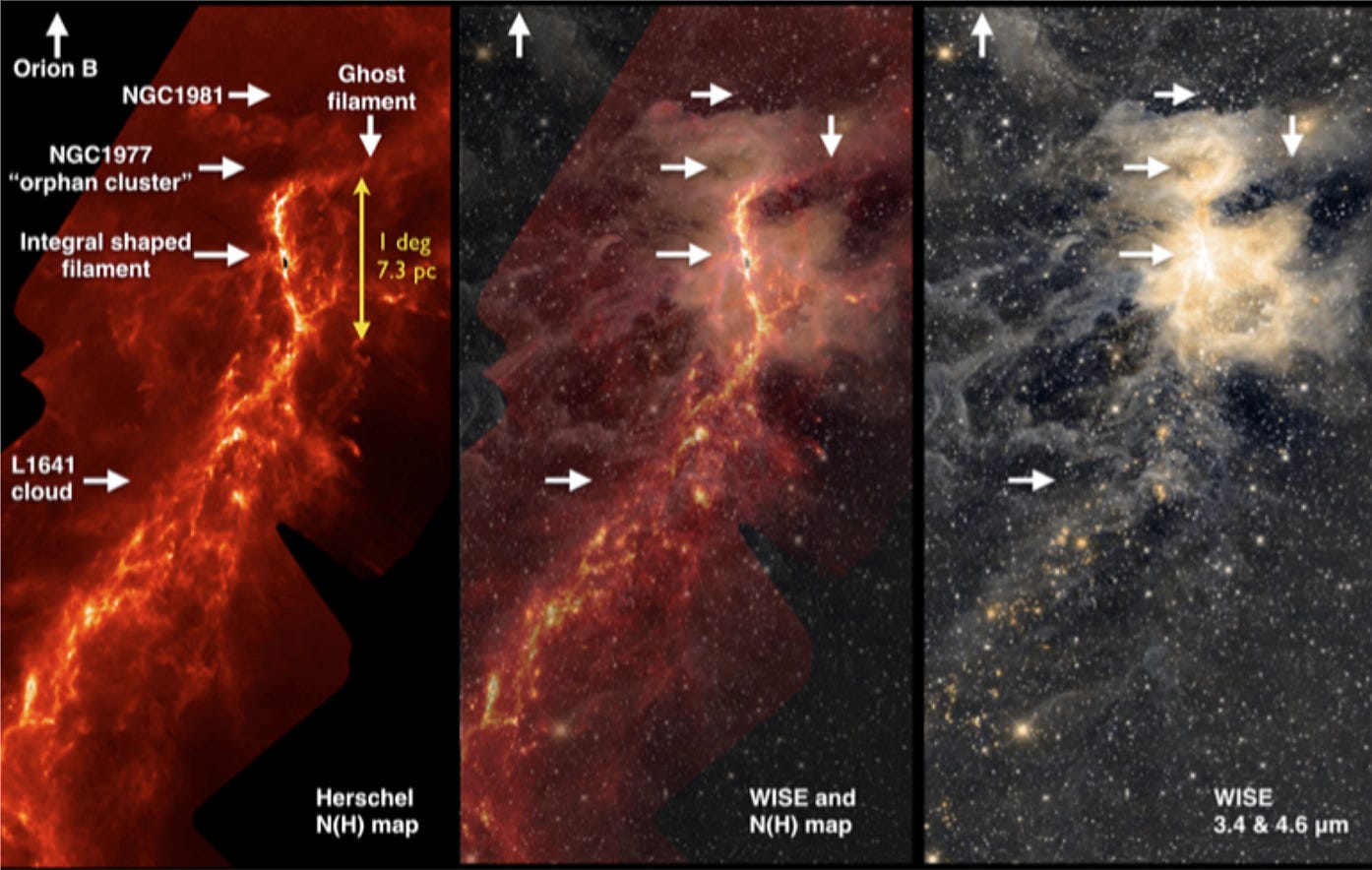 Birthplace of the stars: The integral-shaped filament, the two star clusters above the filament, and cloud L1641 in the south can be seen on these images of the Orion A star formation region. The picture on the left shows a density map compiled with data from ESA's Herschel Space Observatory, the one on the right an infrared image taken by NASA's Wide-field Infrared Survey Explorer (WISE). The photo in the centre is a combination of both images. Image credits: © A. M. Stutz / MPIA. Birthplace of the stars: The integral-shaped filament, the two star clusters above the filament, and cloud L1641 in the south can be seen on these images of the Orion A star formation region. The picture on the left shows a density map compiled with data from ESA's Herschel Space Observatory, the one on the right an infrared image taken by NASA's Wide-field Infrared Survey Explorer (WISE). The photo in the centre is a combination of both images. Image credits: © A. M. Stutz / MPIA.