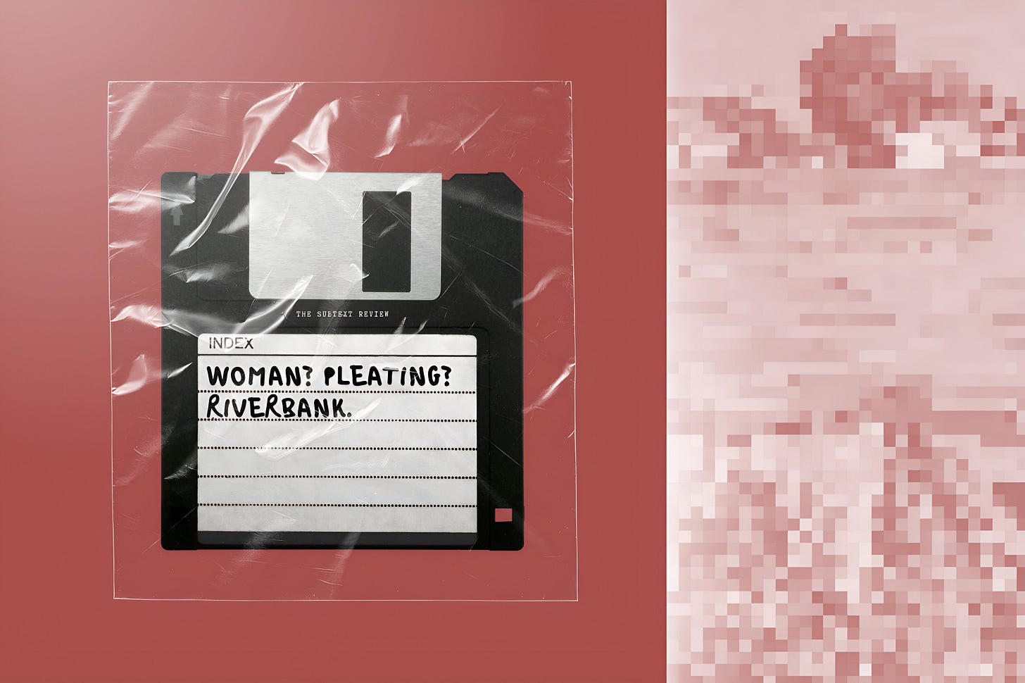 Title card for the Drawing Conclusions series at The Subtext Review. A minimalist editorial layout split into two fields. On the left, a black vintage floppy disk sits inside a clear, creased plastic sleeve against a smooth dusty rose background. The disk’s white index label features handwritten text reading: "WOMAN? PLEATING? RIVERBANK." The right side of the frame consists of a vertical panel of abstract, blown-out digital pixels in shifting shades of dusty rose, pale pink, and white. Title card for the Drawing Conclusions series at The Subtext Review. A minimalist editorial layout split into two fields. On the left, a black vintage floppy disk sits inside a clear, creased plastic sleeve against a smooth dusty rose background. The disk’s white index label features handwritten text reading: "WOMAN? PLEATING? RIVERBANK." The right side of the frame consists of a vertical panel of abstract, blown-out digital pixels in shifting shades of dusty rose, pale pink, and white.