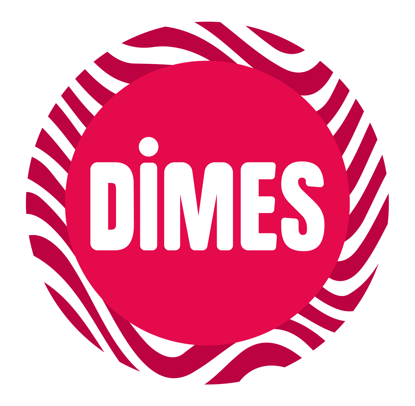 DİMES Yeni Logo Yüksek Çözünürlük