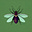 Scott Anderson's avatar