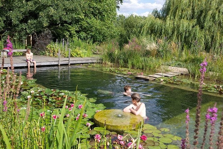 This may contain: two people in a pond with lily pads and water lillies, surrounded by greenery