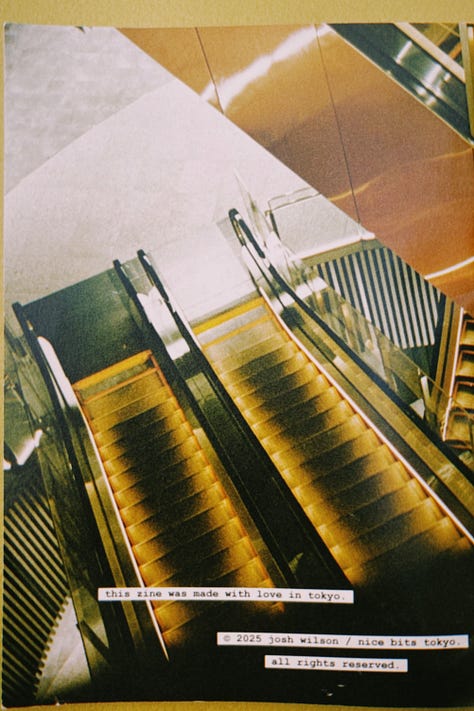 nice words in nice places zine shots