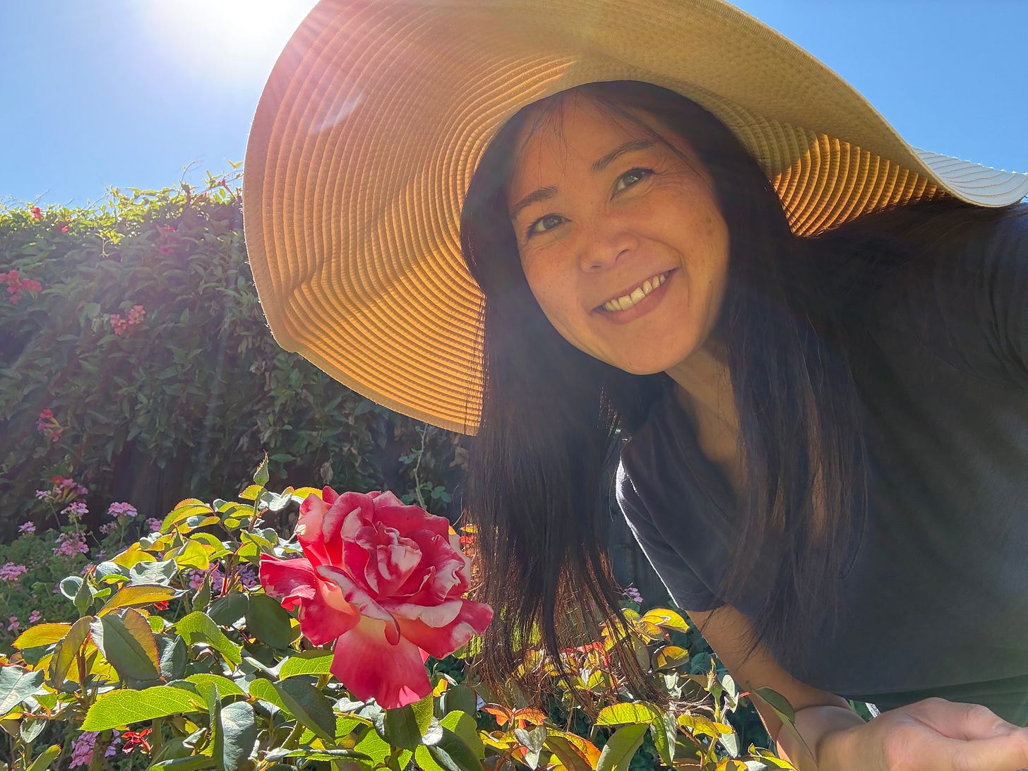 Evelyn Skye in a floppy straw hat in front of a rose bush with a large pink and white rose