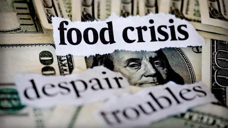 food shortage 2022