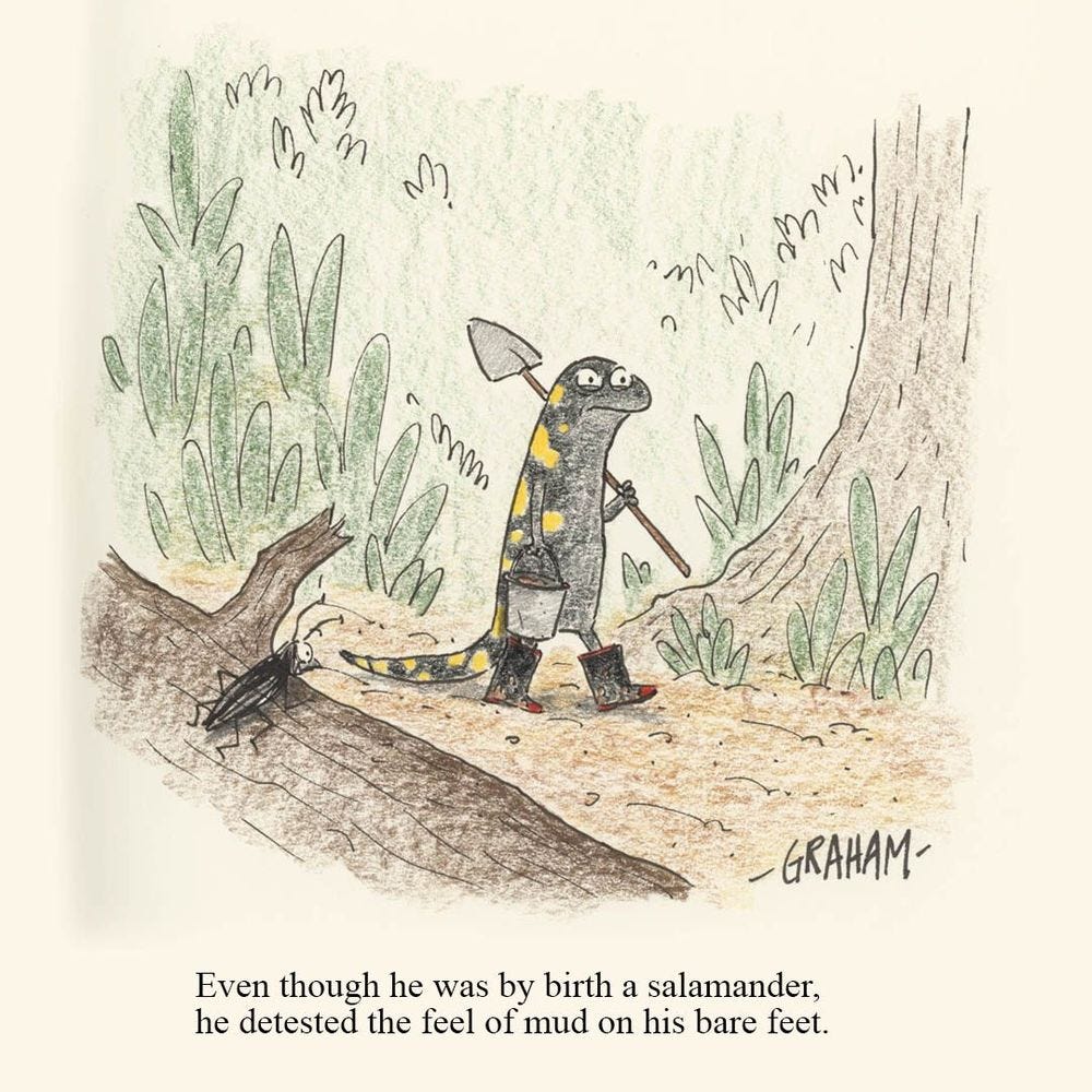 A cartoon illustration of a disgruntled salamander walking with rubber boots. Caption reads "Even though he was by birth a salamander he detested the feel of mud on his bare feet."