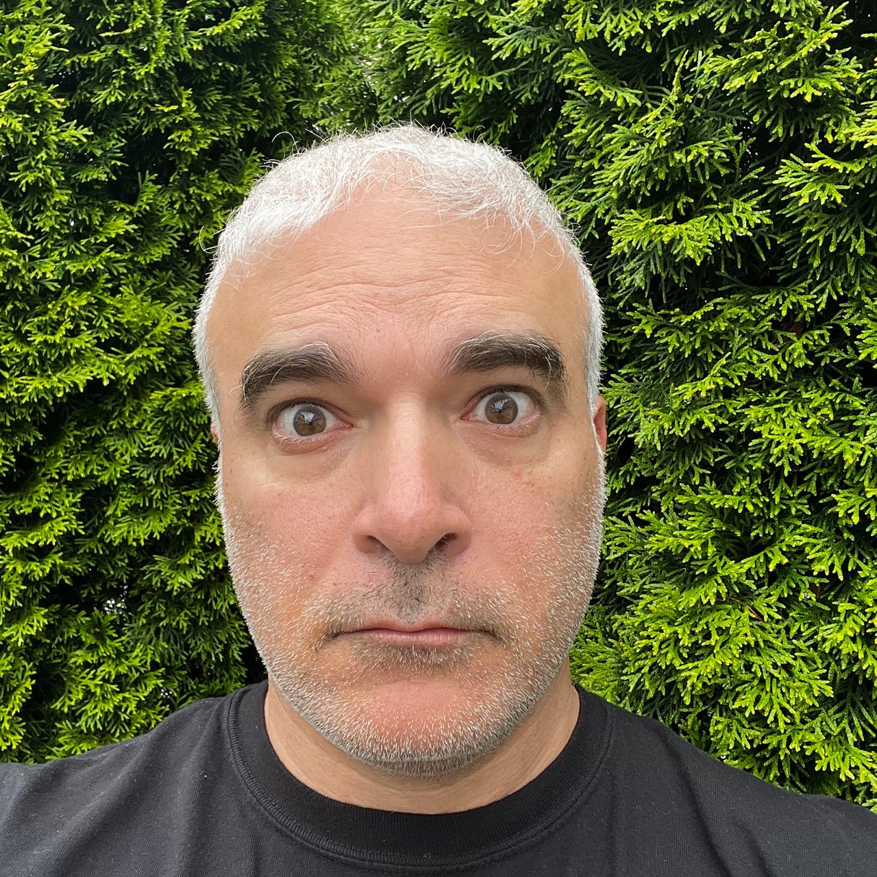 This Should Be Fun by Dan Bova