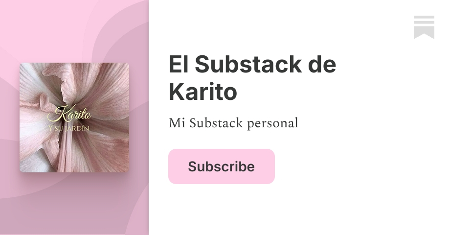 El Substack de Karito | La CartaN°26 | Substack