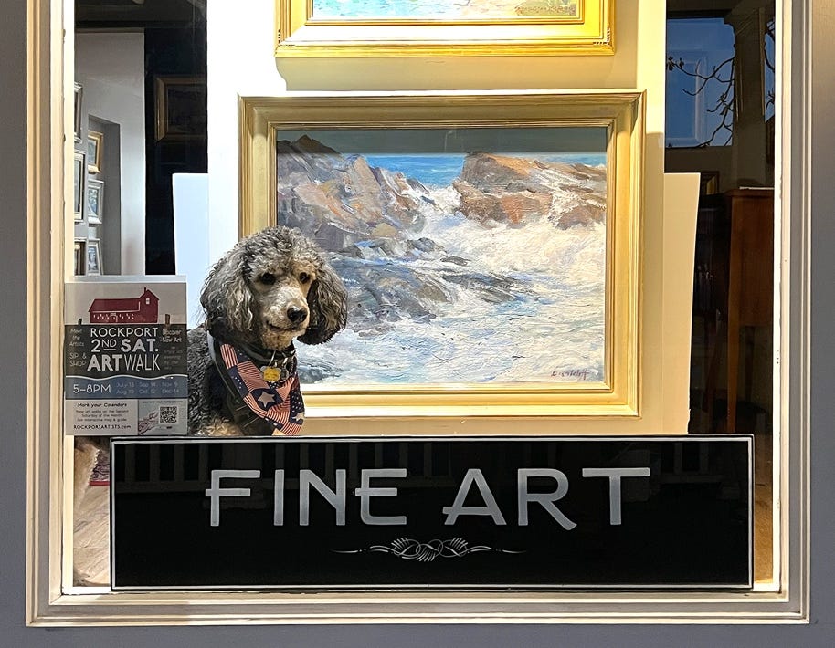 A dog sitting on a counter

Description automatically generated