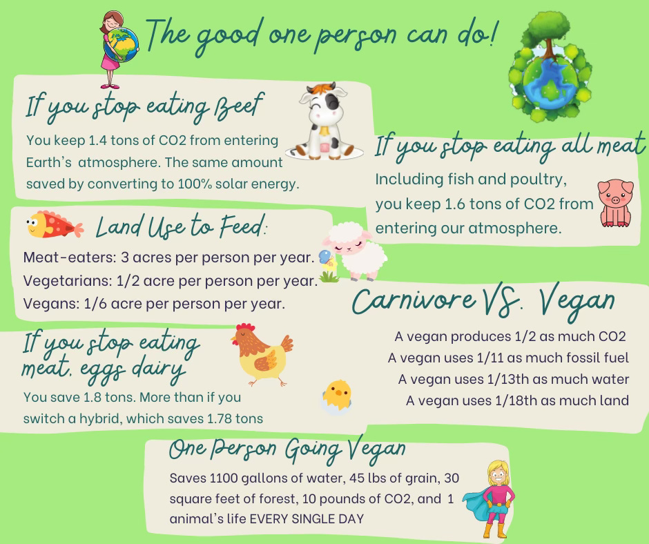 One person going vegan saves 1100 gallons of water, 45 lbs of grain, 30 square feet of forest, 10 pounds of CO2, and 1 animal's life EVERY SINGLE DAY