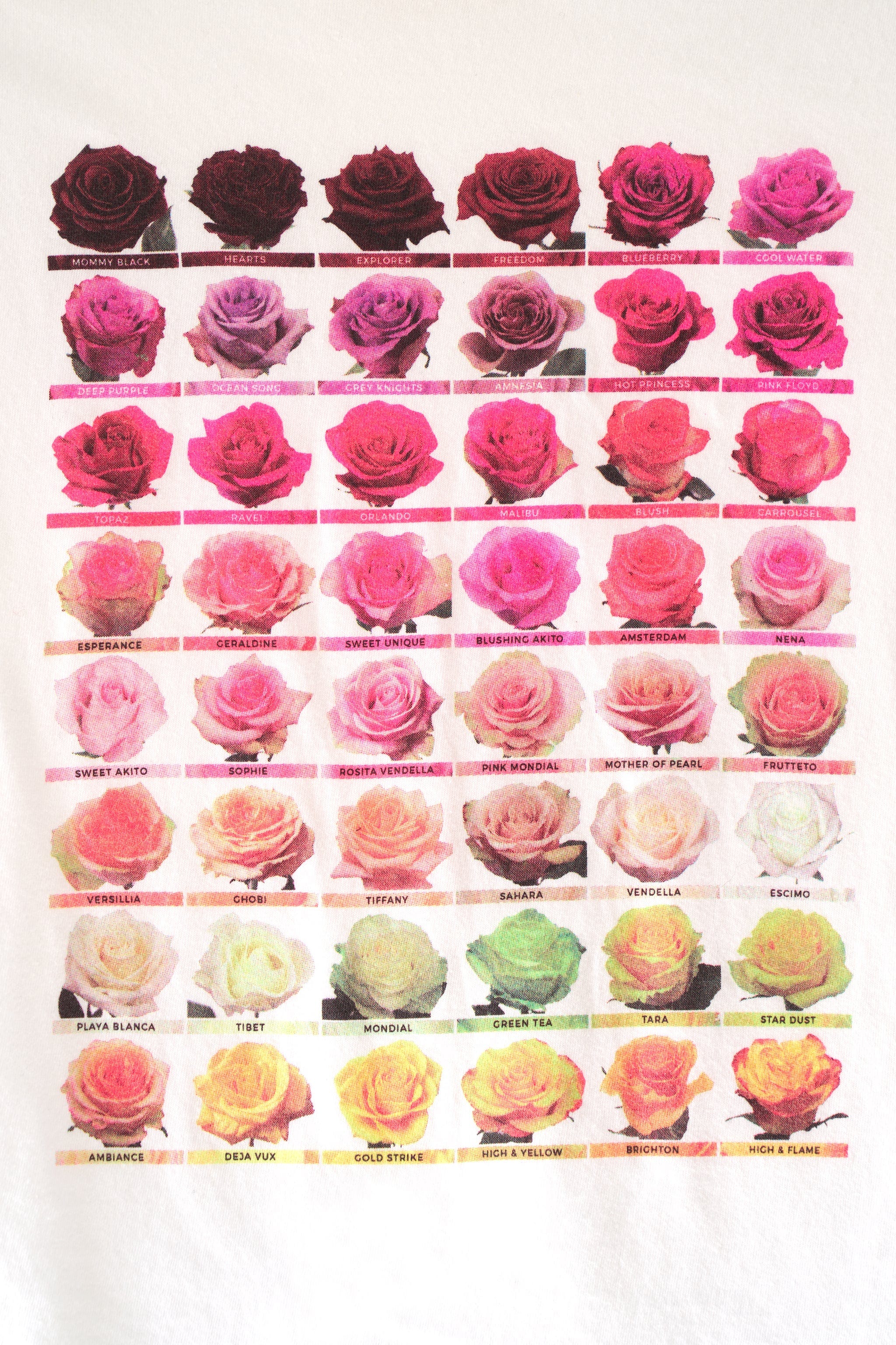 This Rosette Unisex Tee is My New Fave