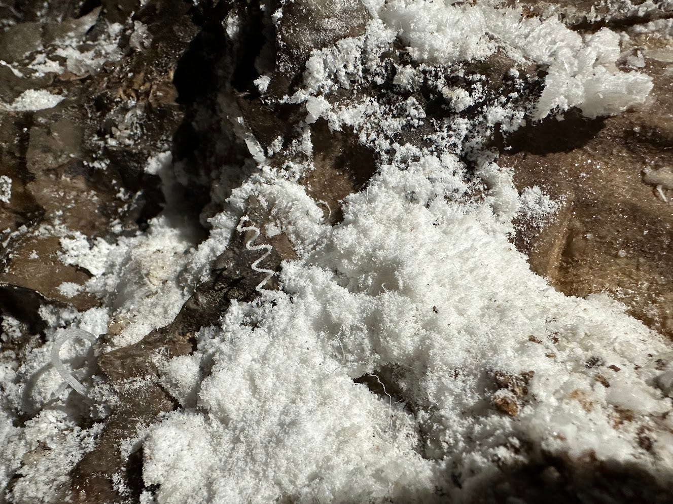 Gypsum spring in the Porcupine Passage Gypsum spring in the Porcupine Passage