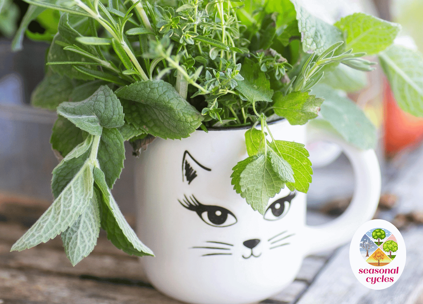 Spring Kitchen Renewal : white coffee mug with a cat face on it and spring herbs coming out of the top Spring Kitchen Renewal : white coffee mug with a cat face on it and spring herbs coming out of the top