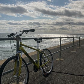🚴‍♀️ Roundup: Biking on Martha's Vineyard (2023) 