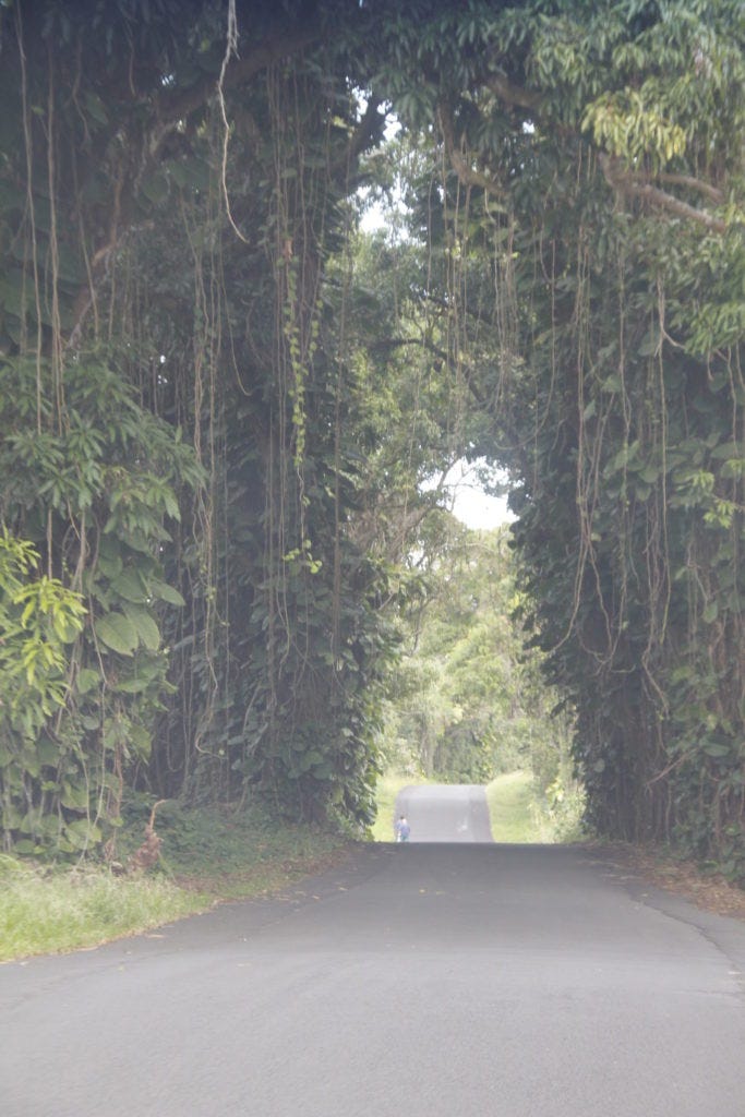 Hawaii, Vulkan, Kilauea, Big Island