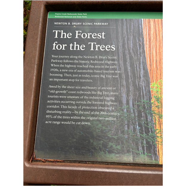 A book on a wood surface

AI-generated content may be incorrect.