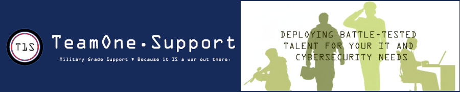 Empowering Veterans And IT Professionals: The Remarkable Journey Of TeamOne.Support