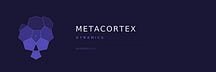 MetaCortex Dynamics
