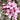 paradoxlogic's avatar