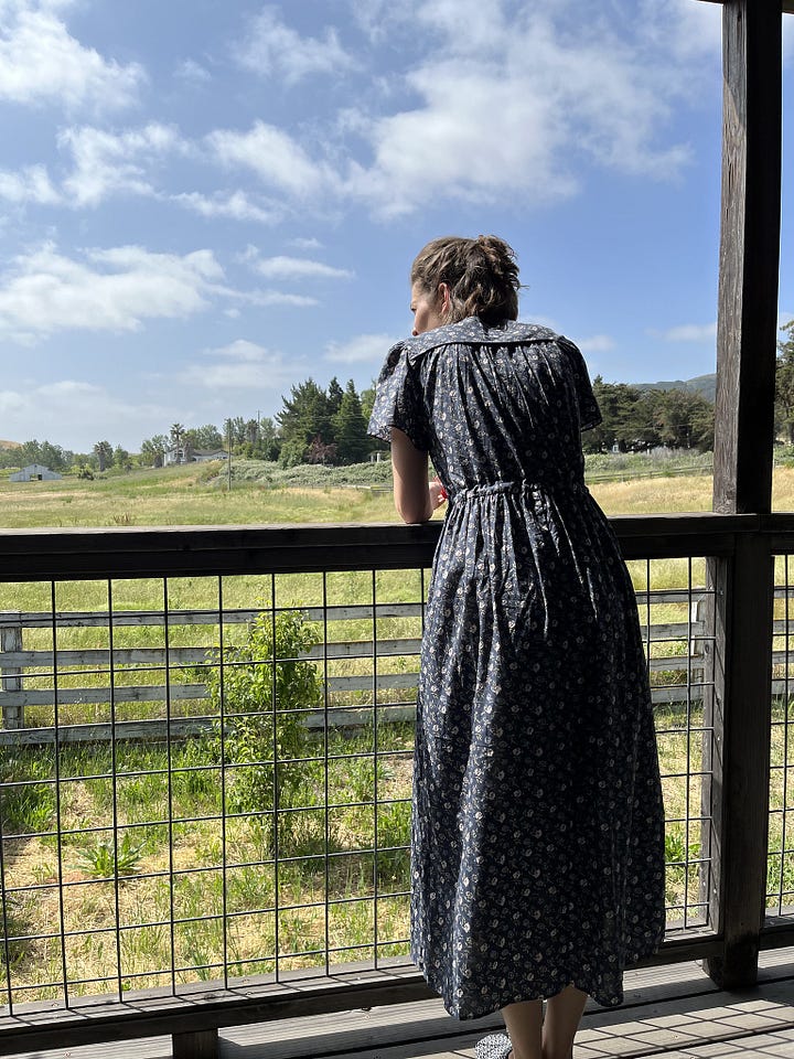 Abby looking out from balcony, Guion at waterfall