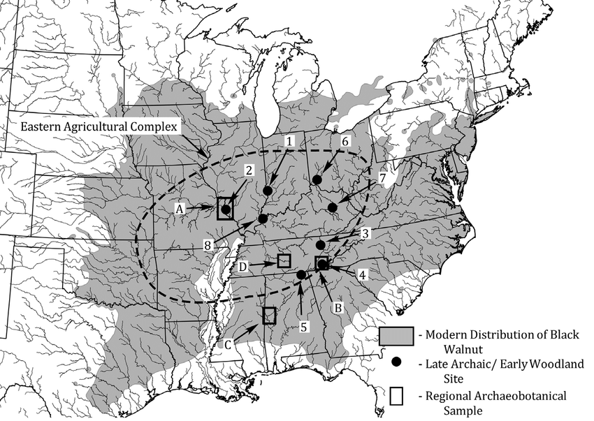 The Birth of the Eastern Agricultural Complex