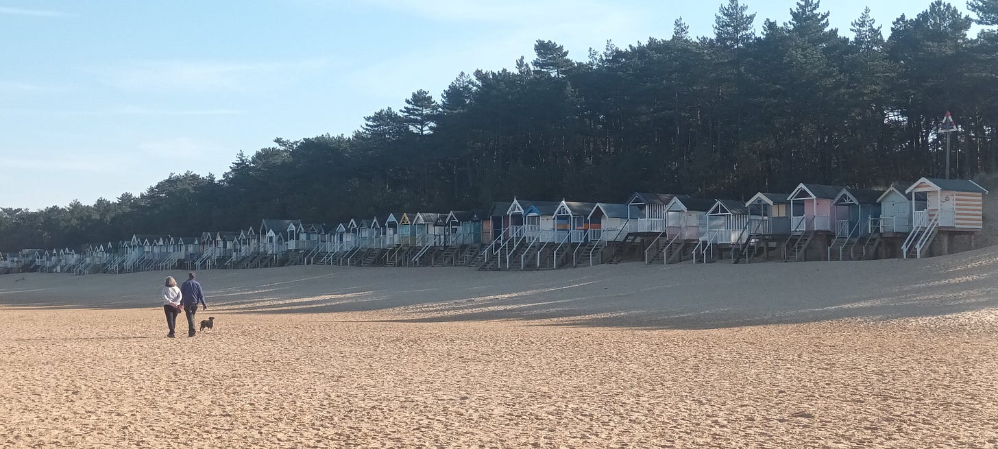 Image shows many beach huts in pastel colours, with the sand in front and pine trees behind. There is a couple walking a dog on the beach in front of the huts