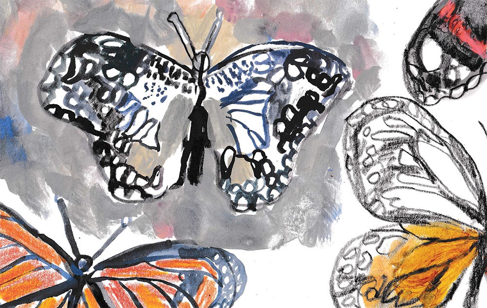 painted butterflies by Beth Spencer painted butterflies by Beth Spencer