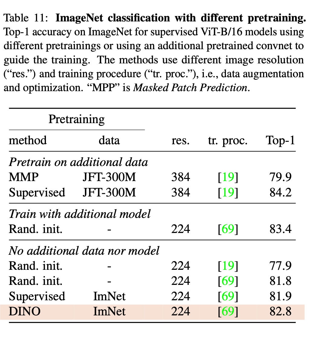 DINO Explained: How Self-Supervised Learning Unlocked Vision Transformers