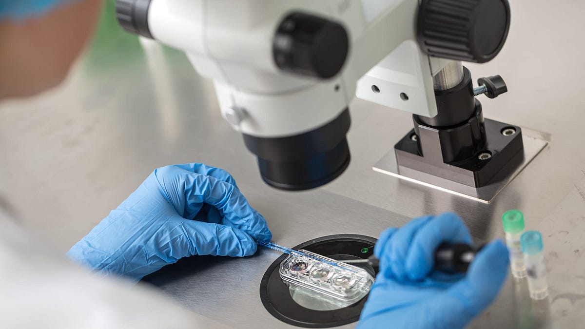 stevekirsch.substack.com