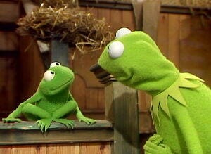 Robin the Frog | Muppet Wiki | Fandom