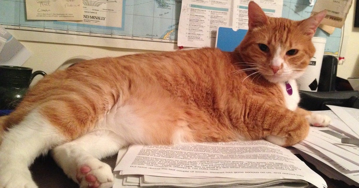 Has Journalism Loved You Back?