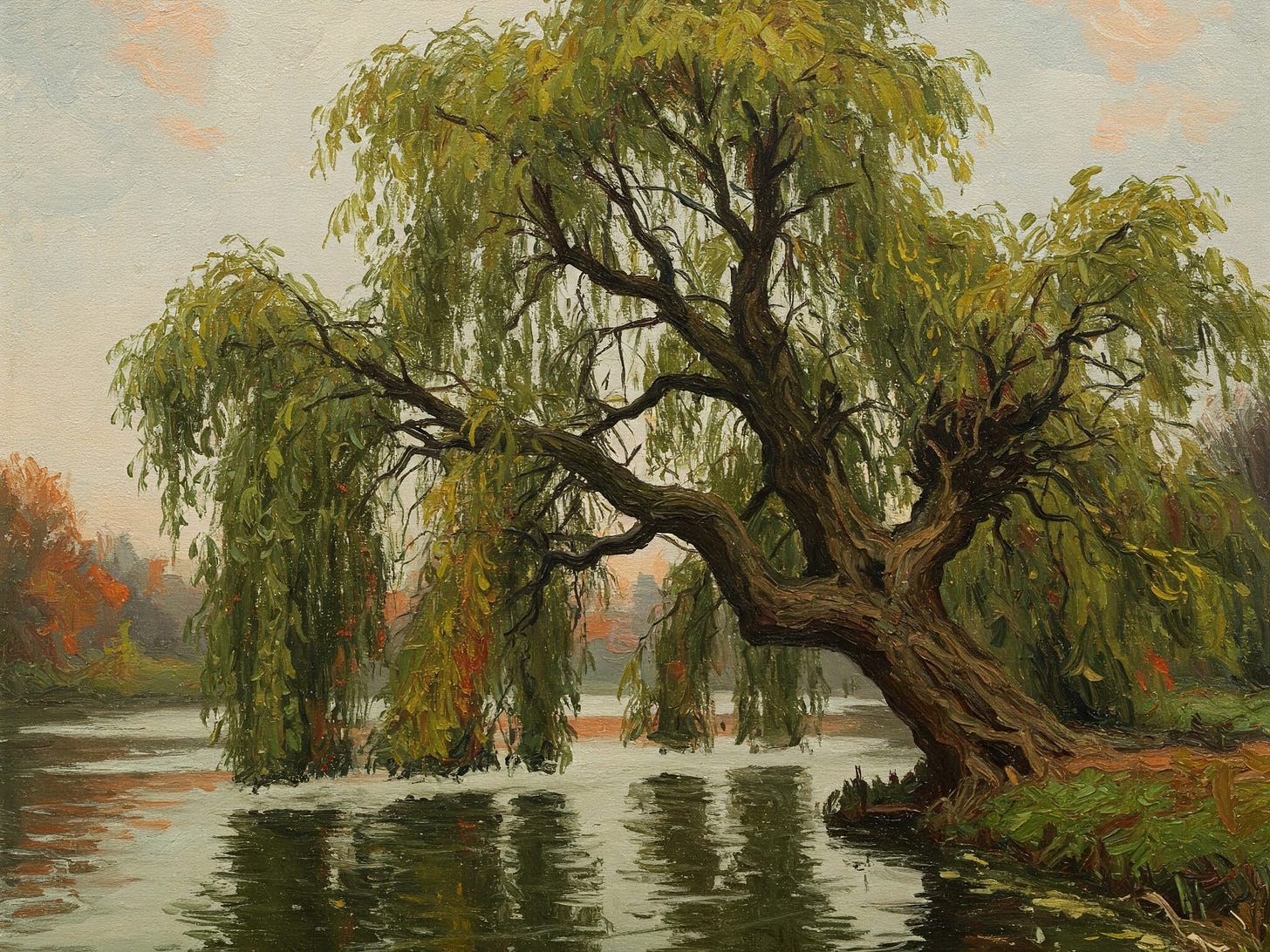 An old willow tree overlooking a river. Generated with Google Gemini.