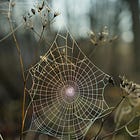 A web big enough to hold the both/and
