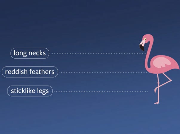 Zero-shot learning: How Facebook teaches AI to learn more like people do
