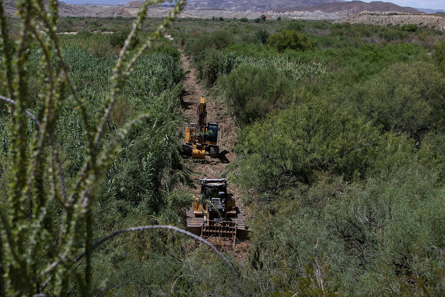 Southwest Valley employees clear an area near the Santa Elena Canyon trailhead parking lot in Big Bend National Park on Aug. 13, 2026. (Texas Tribune Photo by Kaylee Greenlee)